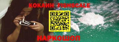 мдпв Кингисепп