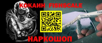 мдпв Кингисепп