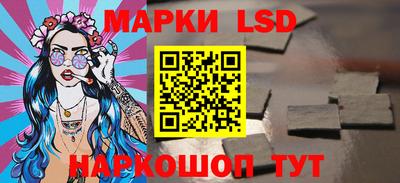 мдпв Кингисепп