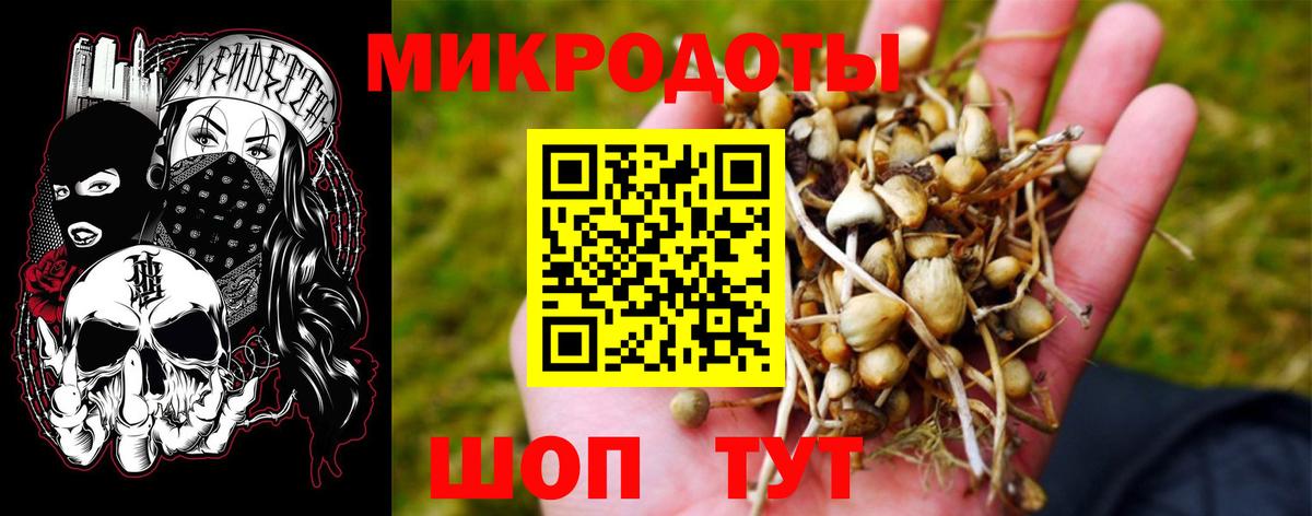 Галлюциногенные грибы ЛСД Донской
